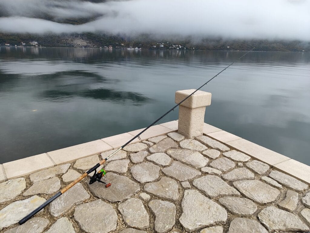 how to choose fishing rod for beginners for shore fishing