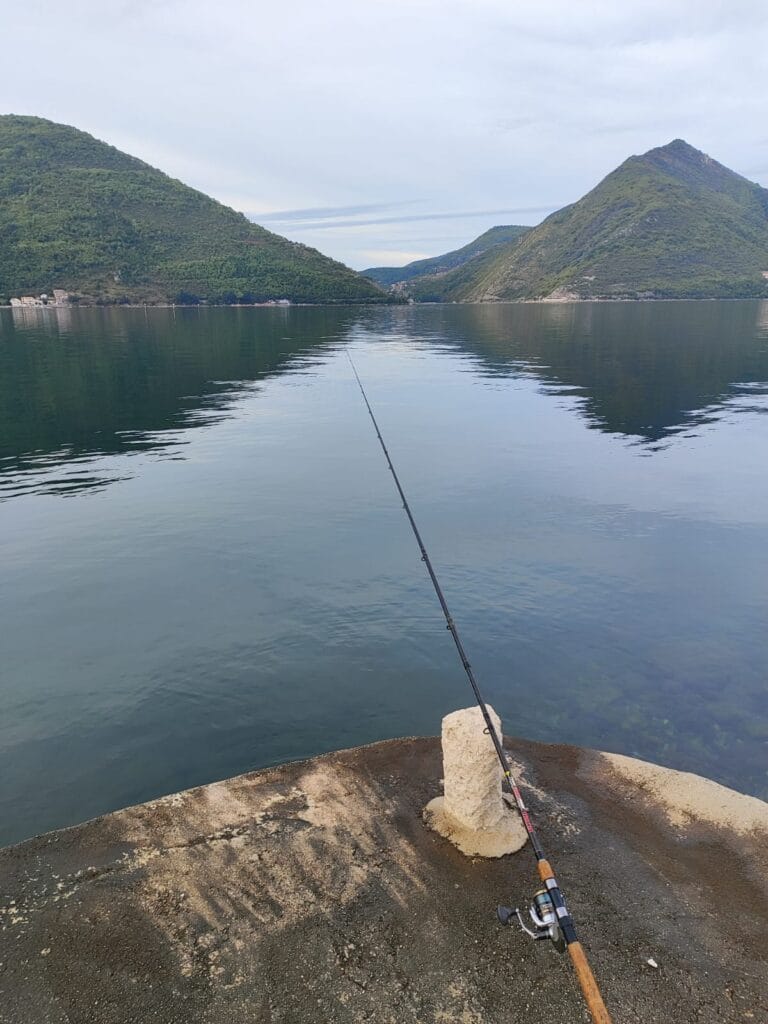 kako odabrati štap za ribanje na moru