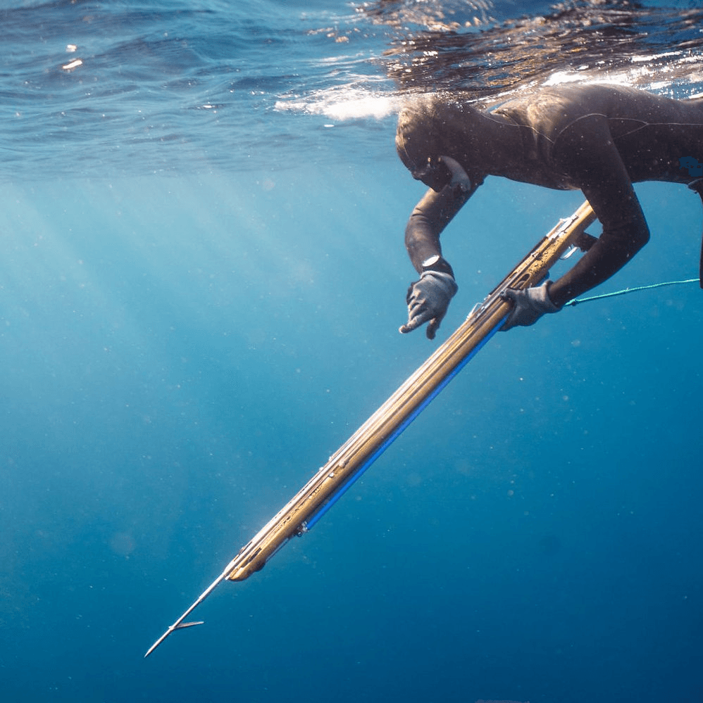 spearfishing-in-montenegro