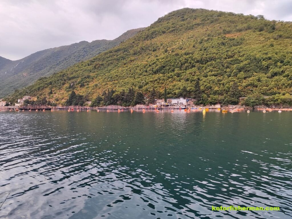 Fishing in the bay of Kotor