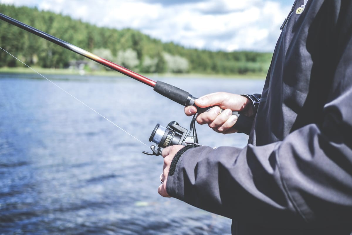 Why Fish Are Not Biting - wrong bait