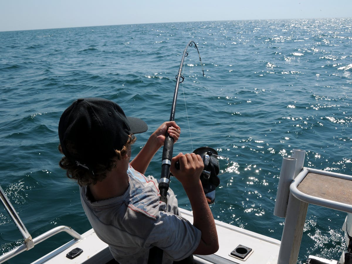 Fish facts – practical insights for anglers