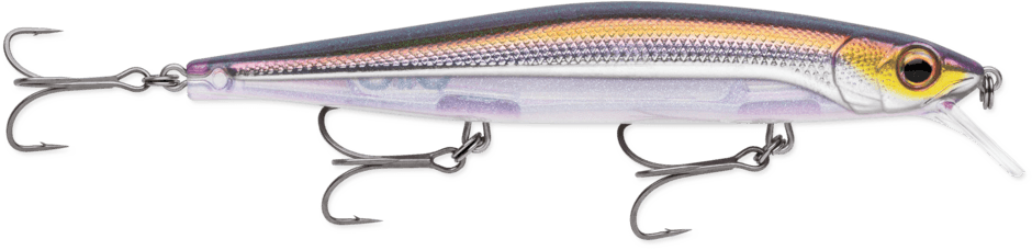 Lures for Fishing in the Adriatic - Rapala PXR Mavrik – hard bait for sea bass over rocky shoreline