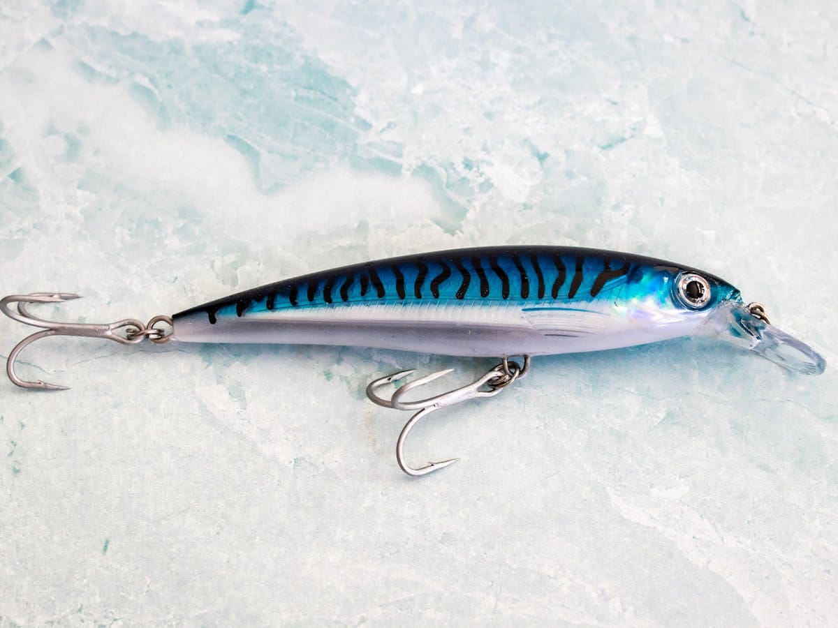 Lures for Fishing in the Adriatic
