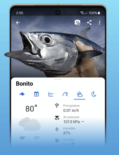 Smart fishing - Fishing application