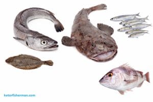 bijela riba - popis i vrste