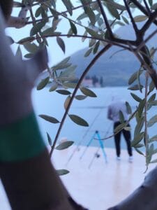 Why Fish Bite at Certain Times?