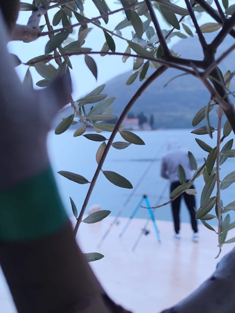 Zašto ribe grizu u određeno vrijeme dana?